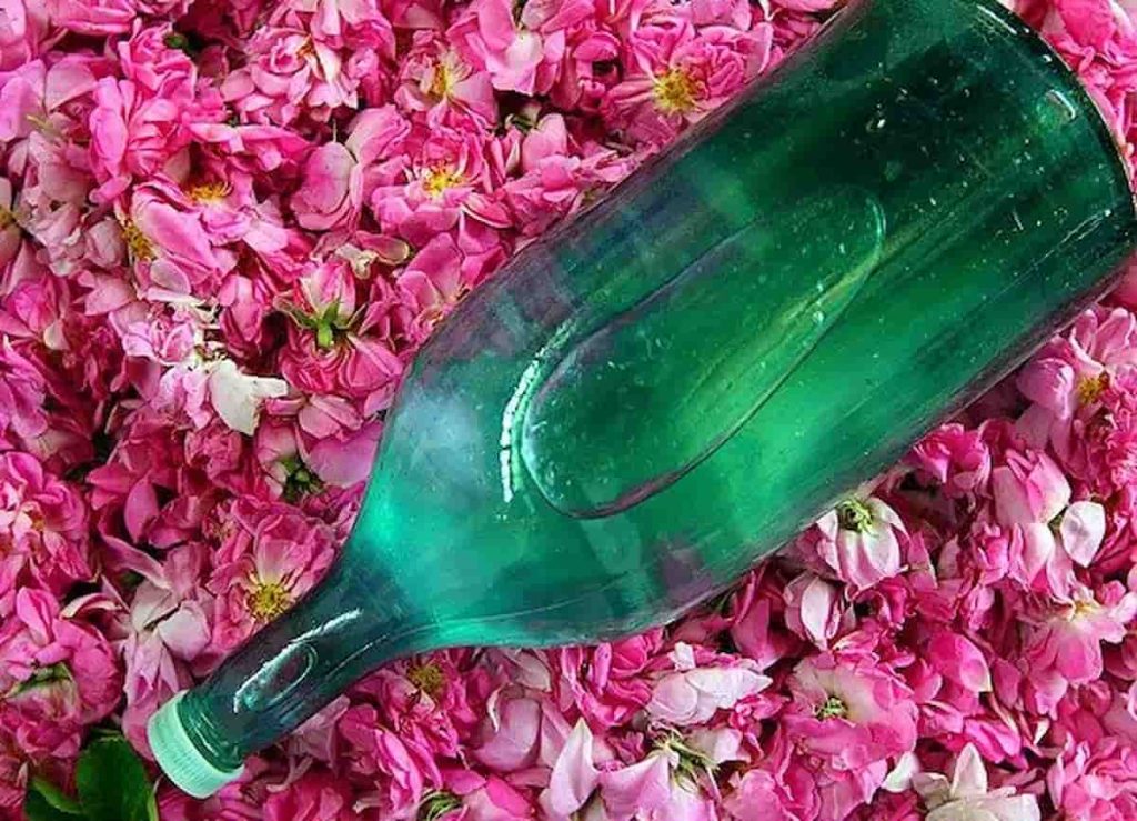 گلاب